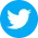 Logo Twitter